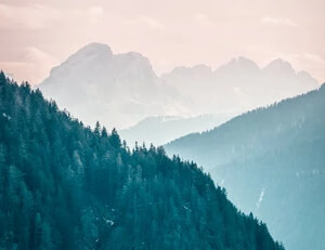 卡佩拉暴扣力挽湖人，狂胜勇士